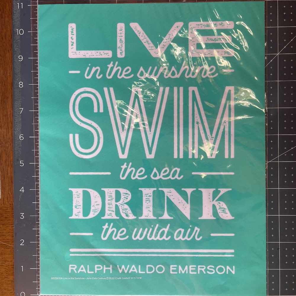 NEW Chalk Couture B Size Transfer - Live in the Sunshine - B2226356